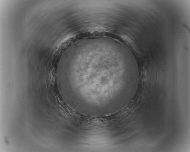 X0000103241063200808281436