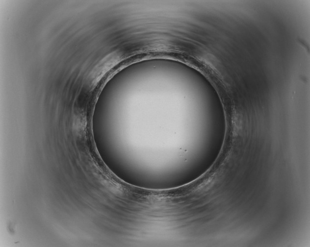 X0000103241065200808281436