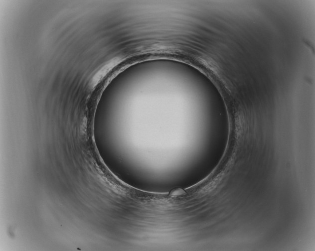 X0000103241066200808281436
