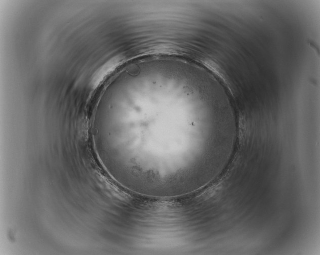 X0000103241067200808281436