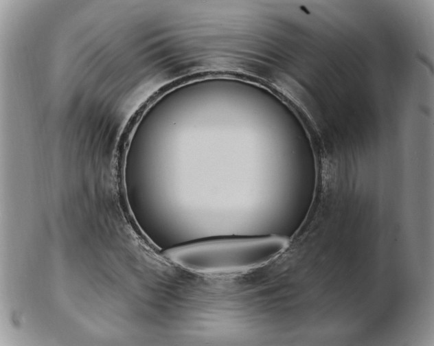 X0000103241068200808281436