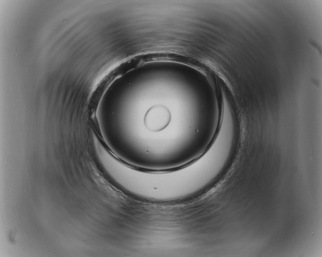 X0000103241069200808281436