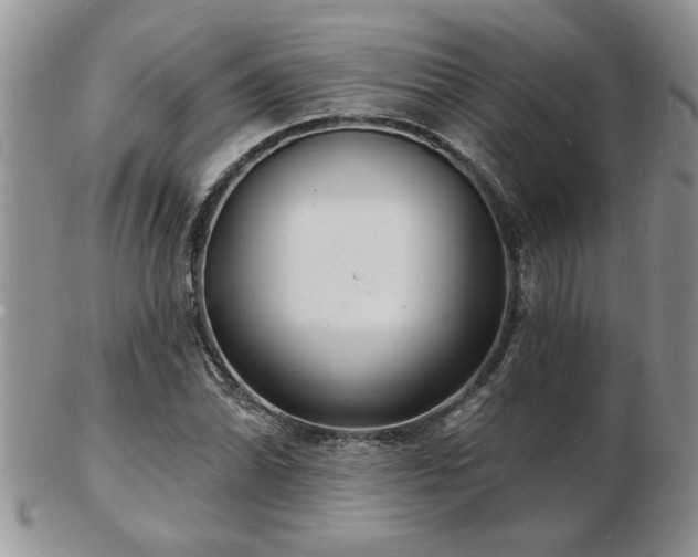 X0000103241070200808281436