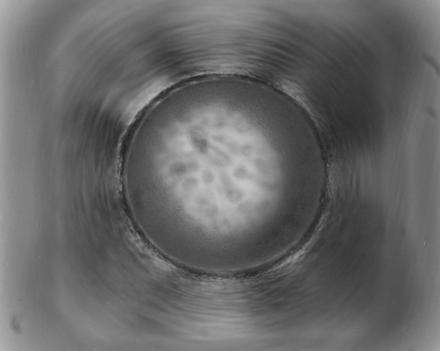 X0000103241071200808281436