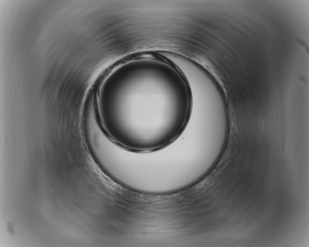X0000103241072200808281436