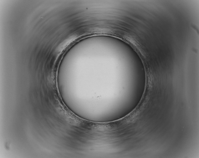 X0000103241074200808281436