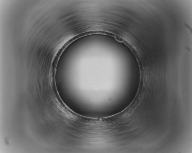 X0000103241076200808281436