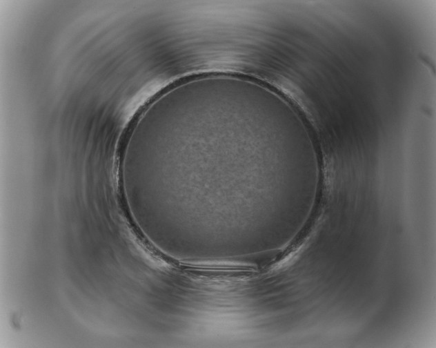 X0000103241077200808281436