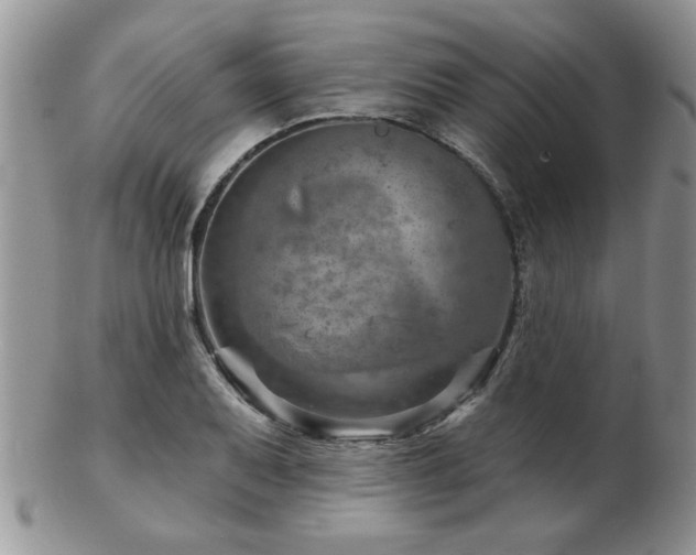 X0000103241079200808281436