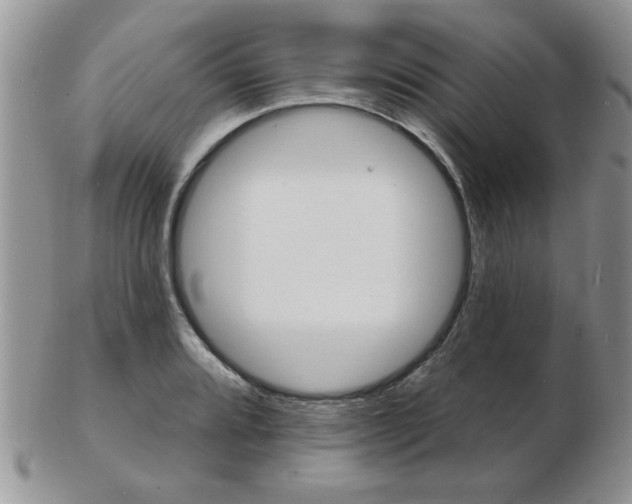 X0000103241080200808281436