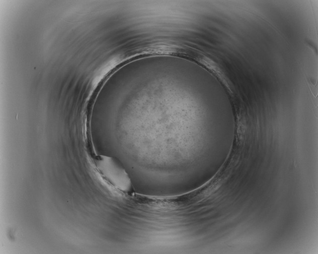 X0000103241083200808281435