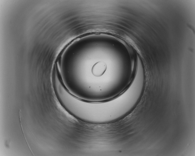 X0000103241084200808281435