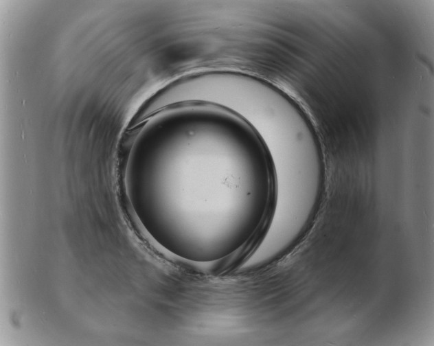 X0000103241085200808281435