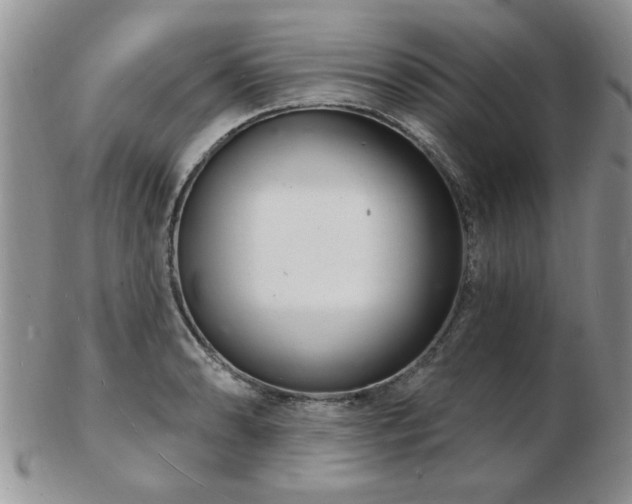 X0000103241086200808281435