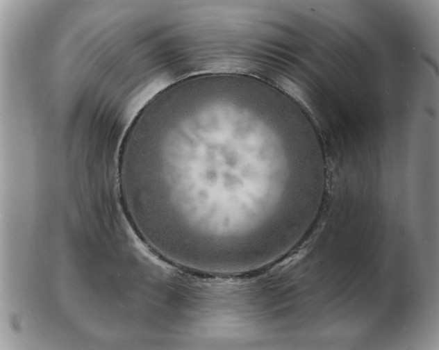 X0000103241087200808281435