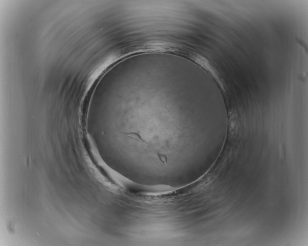 X0000103241091200808281435