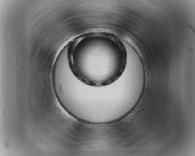 X0000103241092200808281435