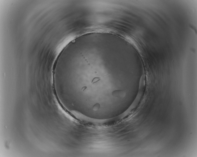 X0000103241095200808281435