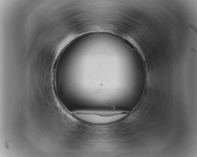 X0000103241096200808281435