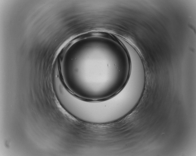 X0000103241100200808281435