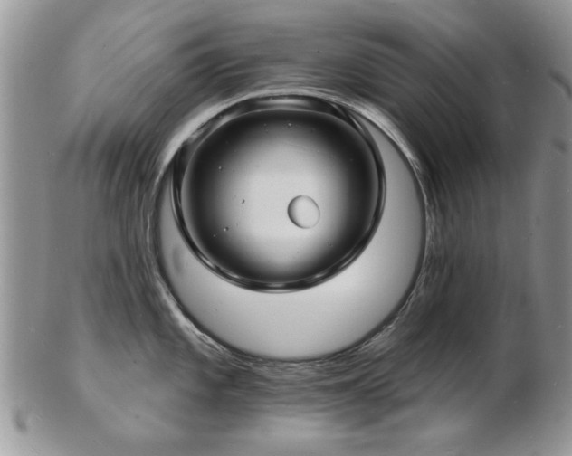 X0000103241101200808281435