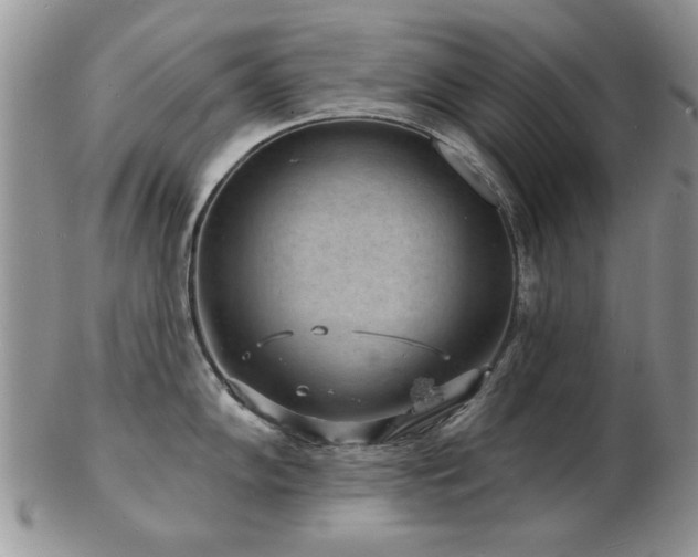 X0000103241102200808281435