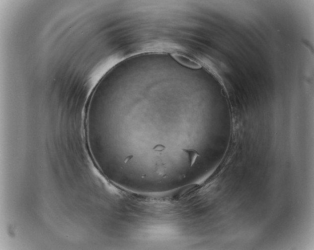 X0000103241103200808281435
