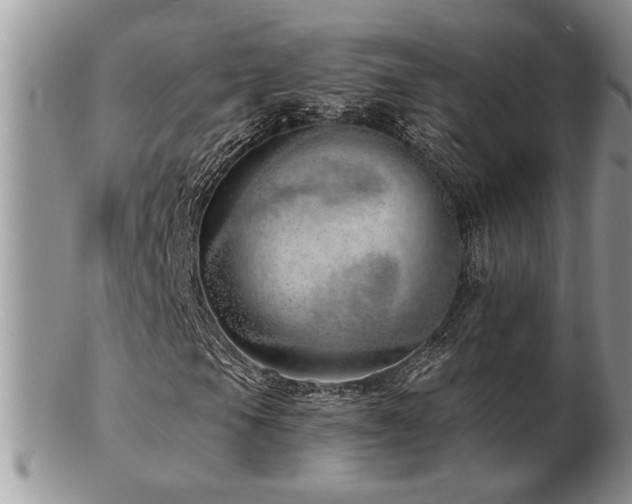 X0000103241105200808281434