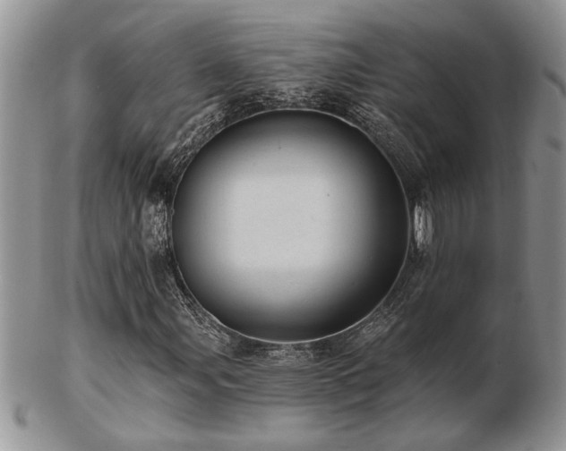 X0000103241107200808281434