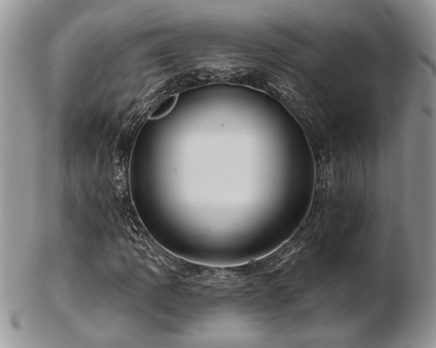 X0000103241109200808281434