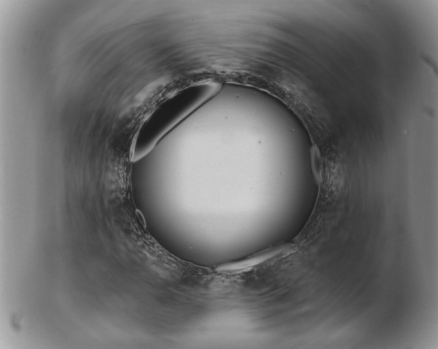 X0000103241110200808281434