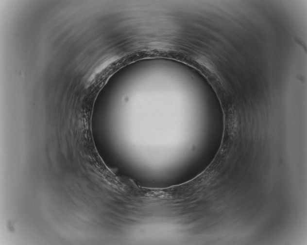 X0000103241112200808281434