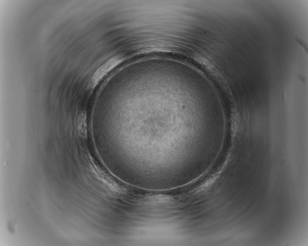 X0000103241113200808281434
