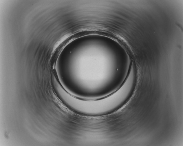 X0000103241114200808281434