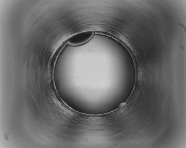 X0000103241116200808281435
