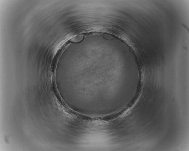 X0000103241117200808281435