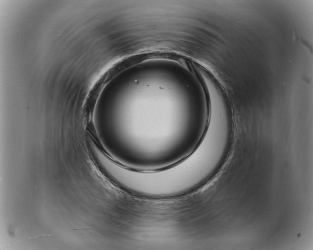 X0000103241118200808281435