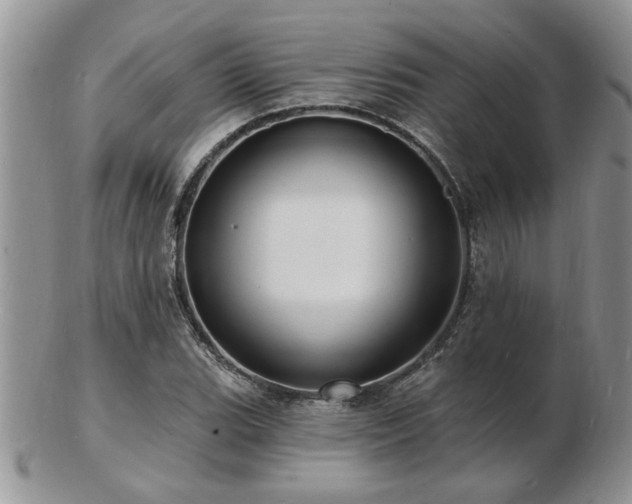 X0000103241119200808281435
