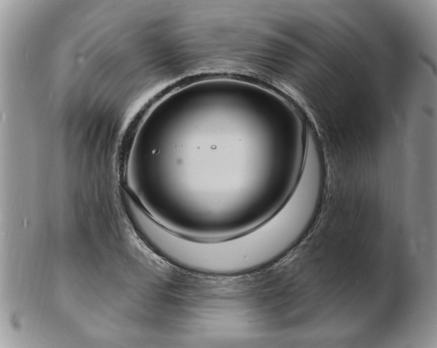 X0000103241120200808281435