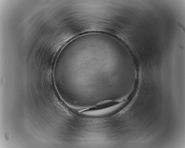X0000103241121200808281435