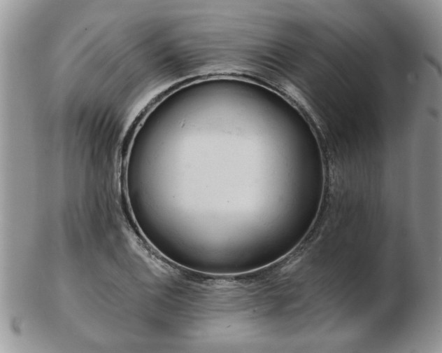 X0000103241124200808281435