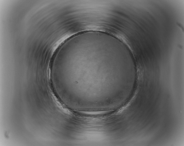 X0000103241125200808281435