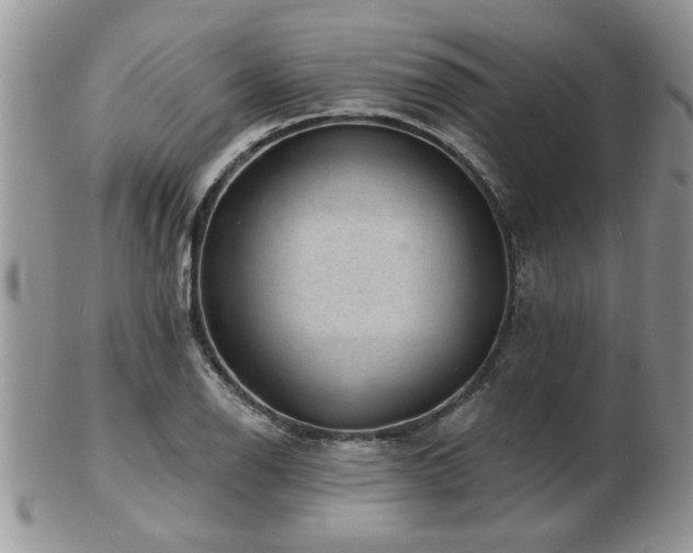 X0000103241126200808281435