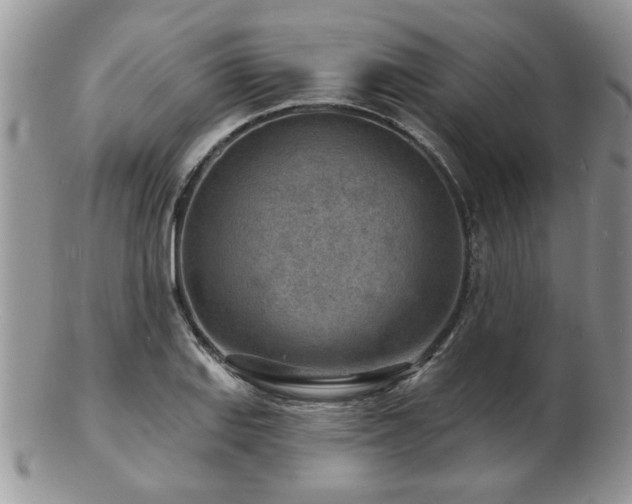 X0000103241127200808281435