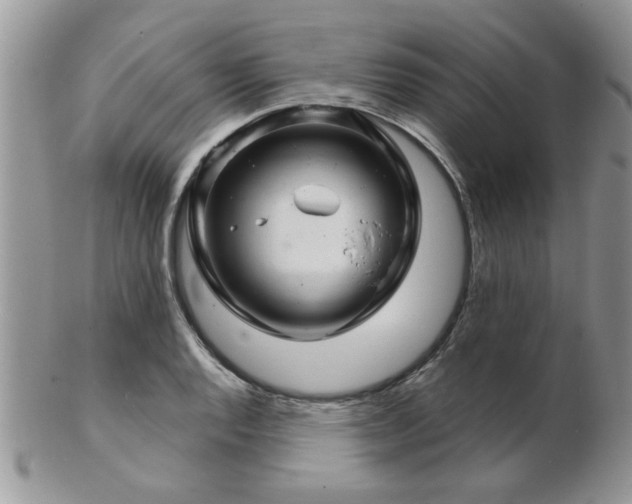 X0000103241128200808281435