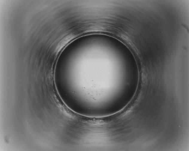 X0000103241129200808281435
