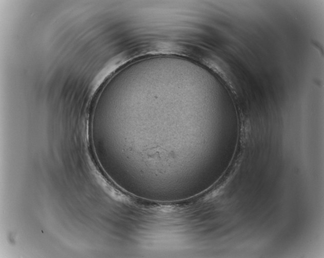 X0000103241130200808281435