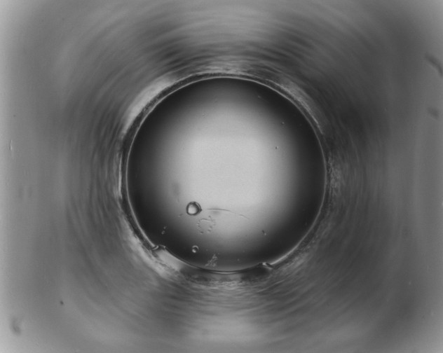 X0000103241131200808281435