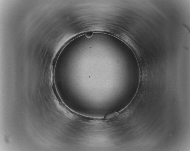 X0000103241132200808281435