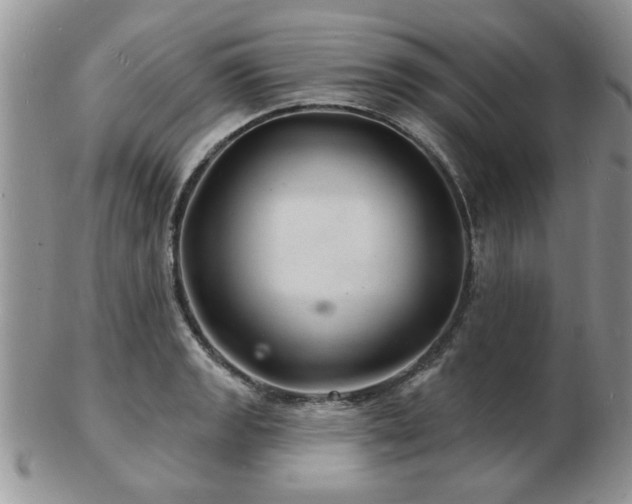 X0000103241133200808281435
